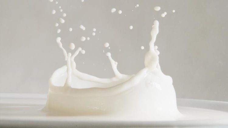 الحليب البقري من أهم مصادر الكالسيوم (الألمانية)