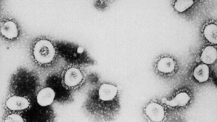 فيروس كورونا.. هل يختفي؟