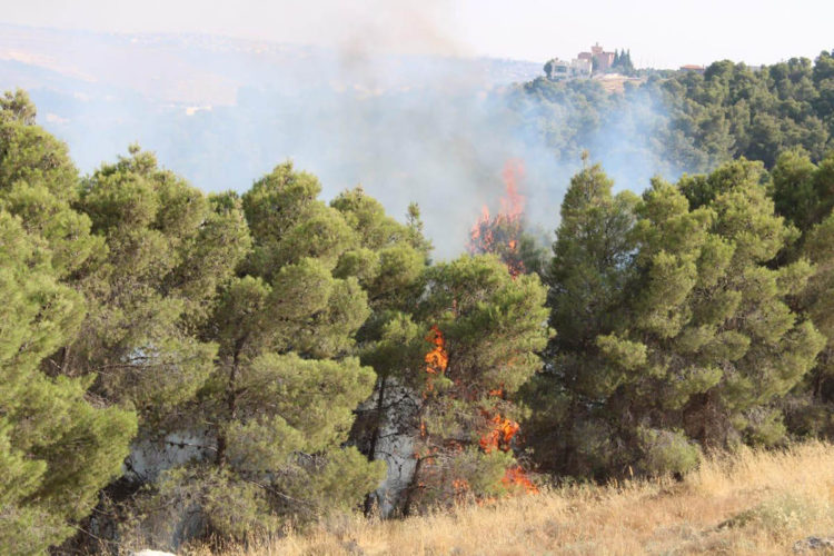 الدفاع المدني يخمد حريقاً امتد لـ 700 دونم في منطقة حسبان