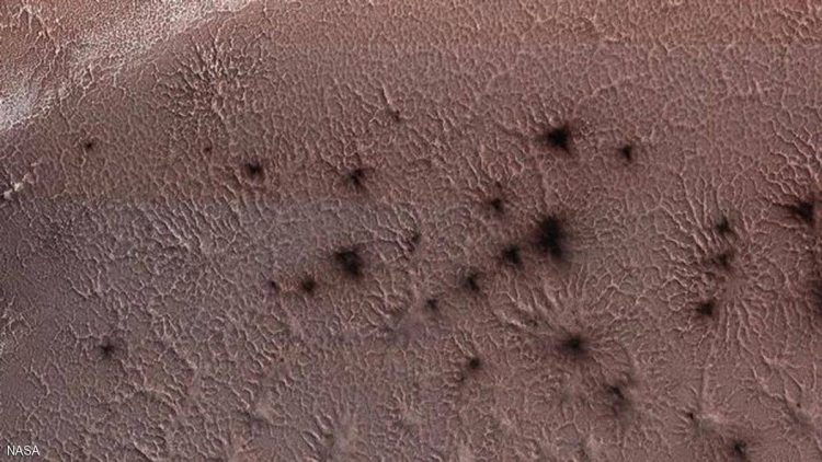 عناكب المريخ الغامضة