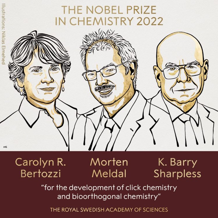 جائزة نوبل في الكيمياء تُمنح لرواد تطوير الكيمياء النقرية