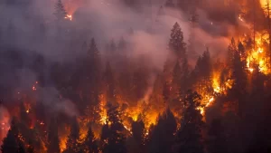 حرائق غابات تدمر قرابة الـ10 آلاف فدان في إسبانيا