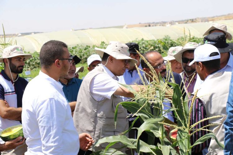 الحنيفات: صادرات الأردن من البذور تصل إلى 65 دولة