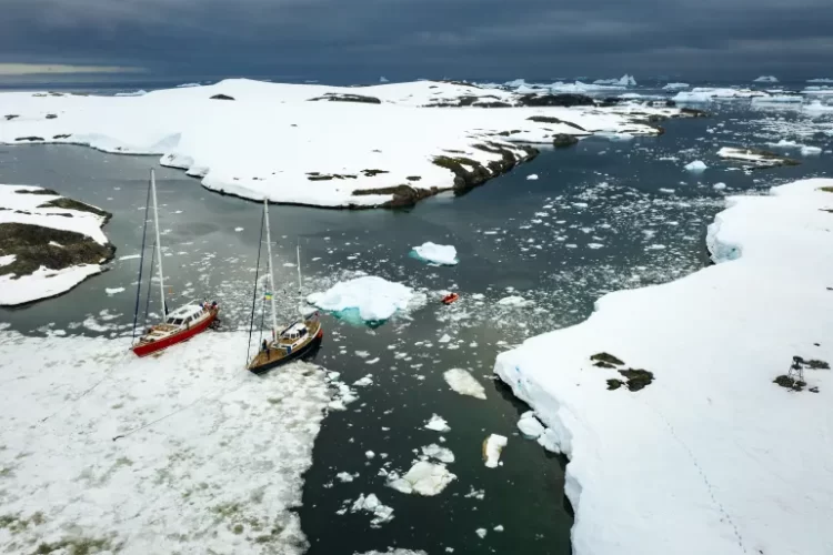 دراسة: المراسي الجليدية في القطب الجنوبي تختفي بشكل مضاعف